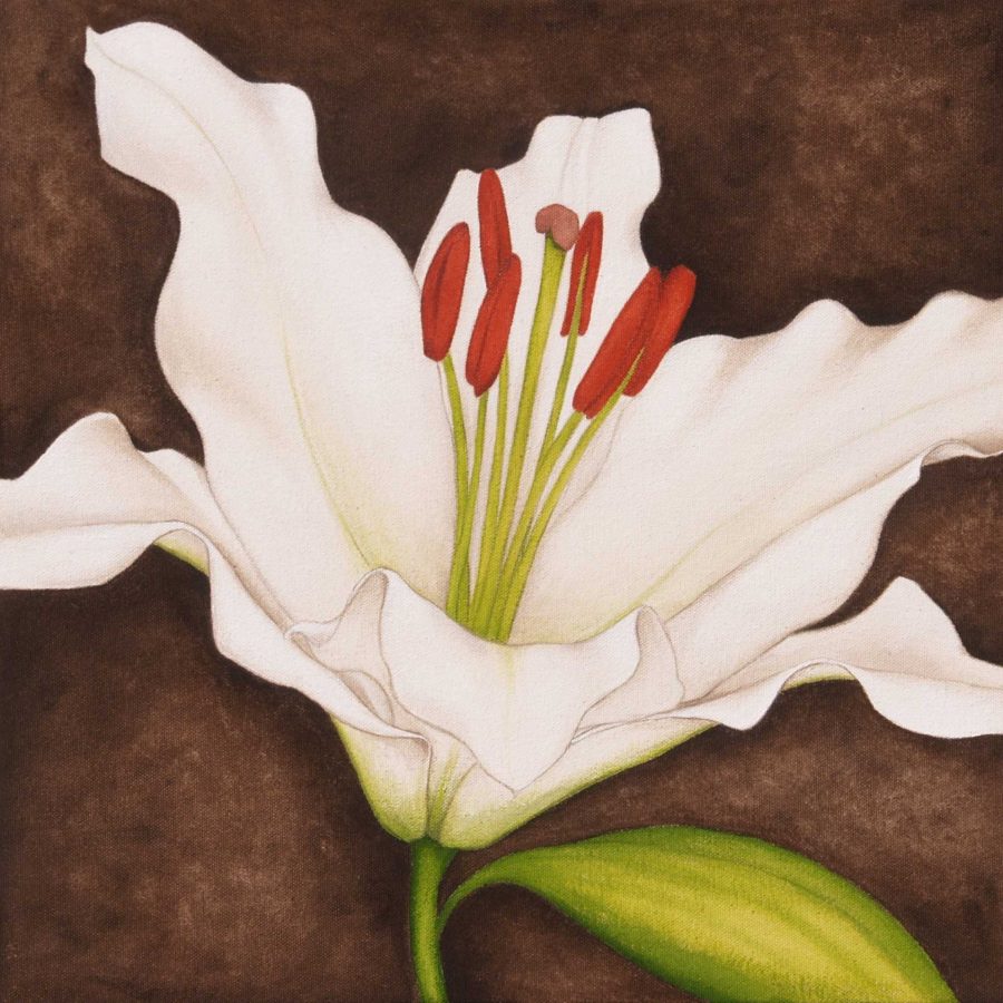 White Lily on Brown